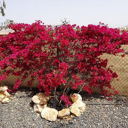 Dunasol Fuerteventura كوراليهو المظهر الخارجي الصورة